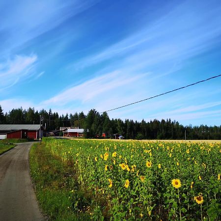 Maatilamatkailu Ilomaeki Seinäjoki Kültér fotó