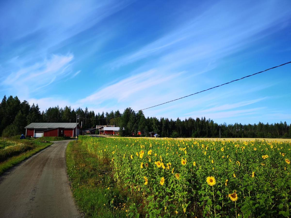 Maatilamatkailu Ilomaeki Seinäjoki Kültér fotó