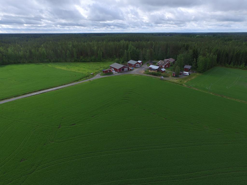 Maatilamatkailu Ilomaeki Seinäjoki Kültér fotó