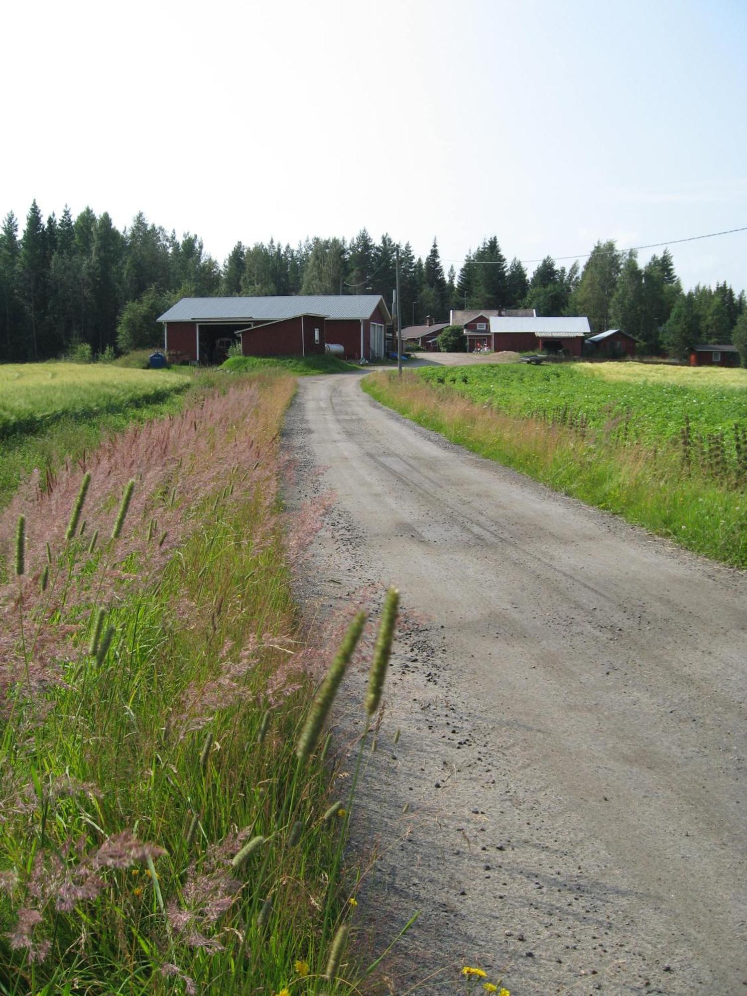 Maatilamatkailu Ilomaeki Seinäjoki Kültér fotó