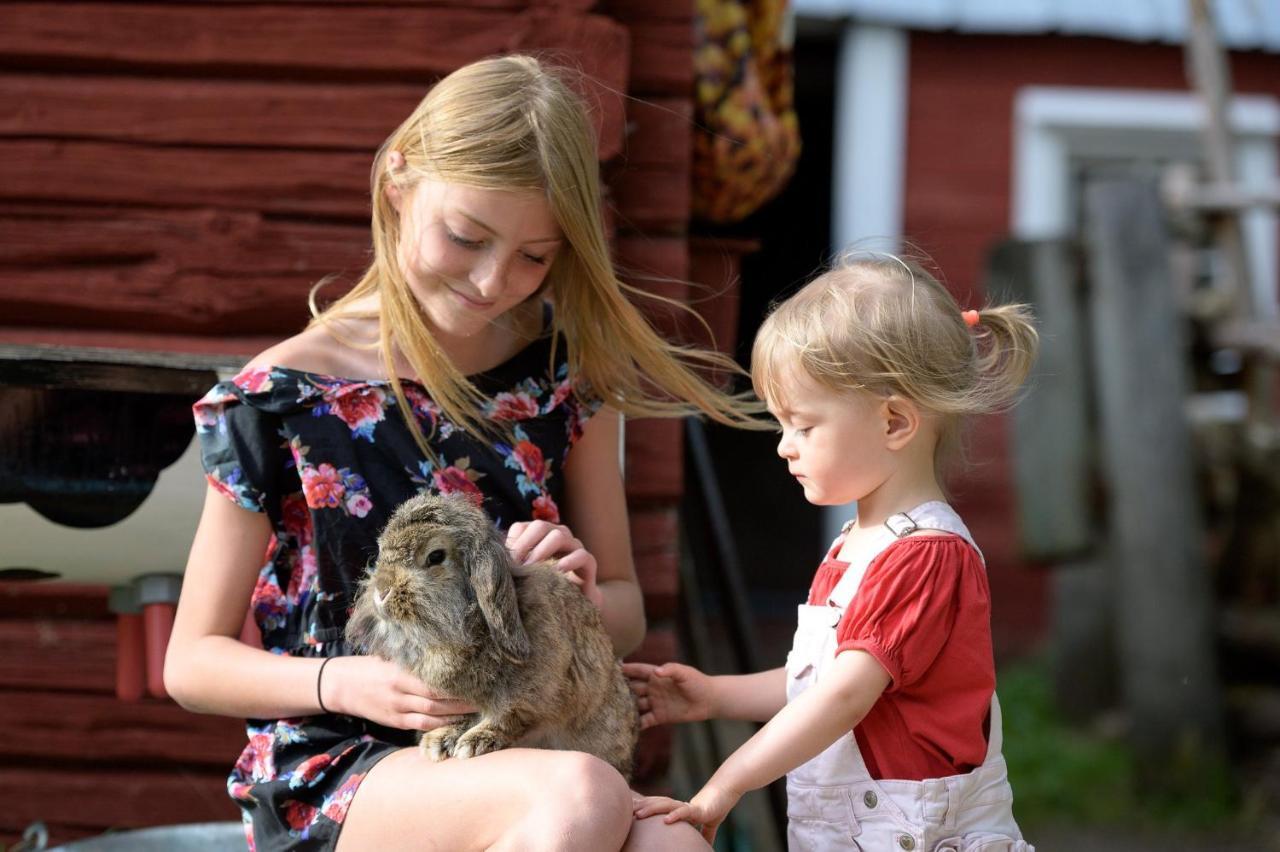 Maatilamatkailu Ilomaeki Seinäjoki Kültér fotó